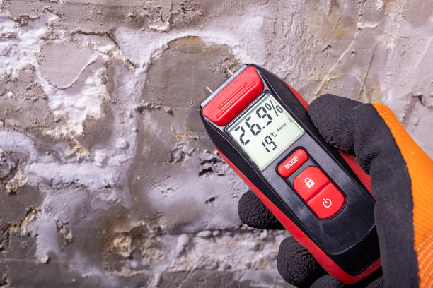 Home Mold Removal in Planada, CA